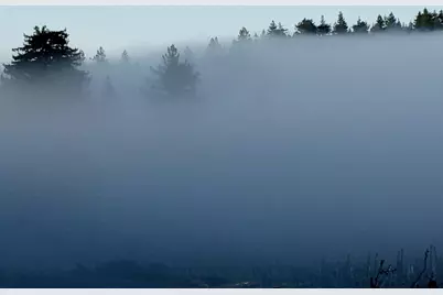 1580 Tindall Ranch Rd, Watsonville, CA 95076 - Photo 134