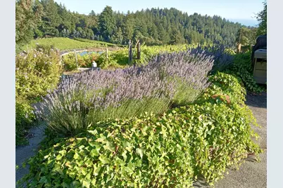1580 Tindall Ranch Rd, Watsonville, CA 95076 - Photo 48