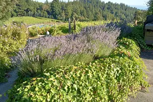 1580 Tindall Ranch Rd, Watsonville, CA 95076 - Photo 48