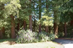 1580 Tindall Ranch Rd, Watsonville, CA 95076 - Photo 50