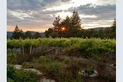 1580 Tindall Ranch Rd, Watsonville, CA 95076 - Photo 94