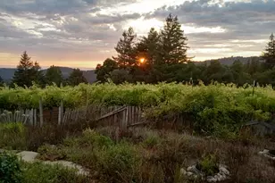 1580 Tindall Ranch Rd, Watsonville, CA 95076 - Photo 94