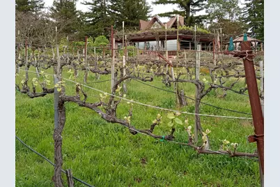 1580 Tindall Ranch Rd, Watsonville, CA 95076 - Photo 40