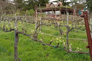 1580 Tindall Ranch Rd, Watsonville, CA 95076 - Photo 40