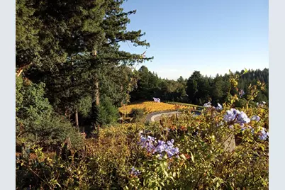 1580 Tindall Ranch Rd, Watsonville, CA 95076 - Photo 46