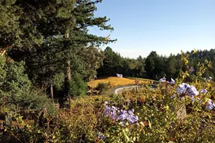 1580 Tindall Ranch Rd, Watsonville, CA 95076 - Photo 46