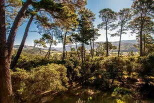 154 Del Mesa Carmel, Carmel, CA 93923 - Photo 1