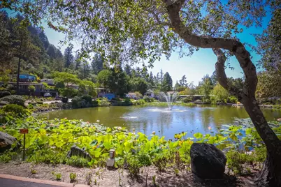 552 Bean Creek Rd 94, Scotts Valley, CA 95066 - Photo 94