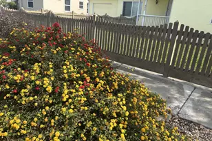 Crescent Way, Salinas, CA 93906 - Photo 22
