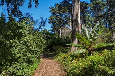 1260 21st Ave, San Francisco, CA 94122 - Photo 74
