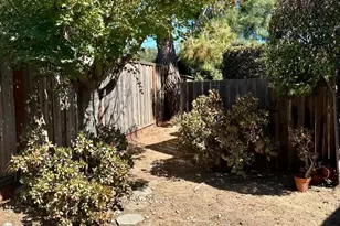 1241 Klee Ct, Sunnyvale, CA 94087 - Photo 12
