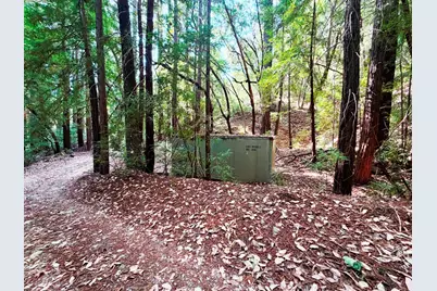 320 Timber Cove, Boulder Creek, CA 95006 - Photo 6