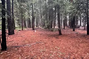 Hide Away Loop, Alta, CA 95701 - Photo 1