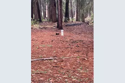Hide Away Loop, Alta, CA 95701 - Photo 4