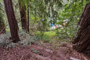 180 Cresta Dr, Boulder Creek, CA 95006 - Photo 84