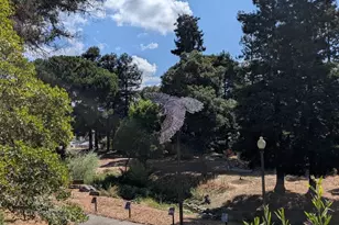 3248 Bona St, Oakland, CA 94601 - Photo 70