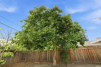 2366 Fatjo Pl, Santa Clara, CA 95050 - Photo 70