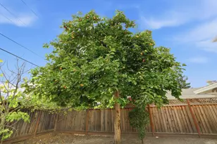 2366 Fatjo Pl, Santa Clara, CA 95050 - Photo 70