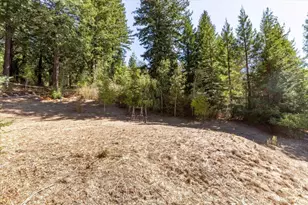 24343 Mountain Charlie Rd, Los Gatos, CA 95033 - Photo 36