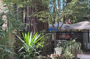 13854 Hwy 9, Boulder Creek, CA 95006 - Photo 4