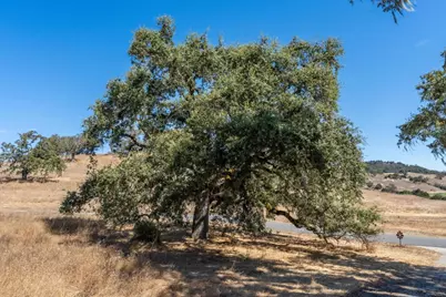2 Arroyo Sequoia, Carmel, CA 93923 - Photo 20