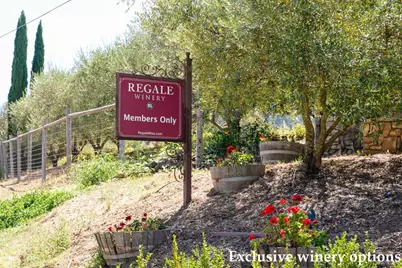 22443 Tim Tam Ct, Los Gatos, CA 95033 - Photo 40