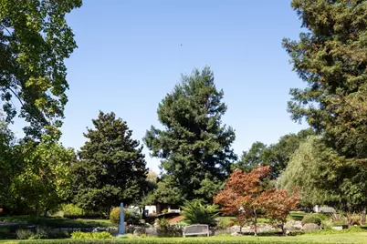 24 Bay Tree Ln, Los Altos, CA 94022 - Photo 28