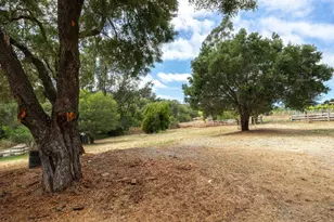 1100 Spring Hills Dr, Watsonville, CA 95076 - Photo 66
