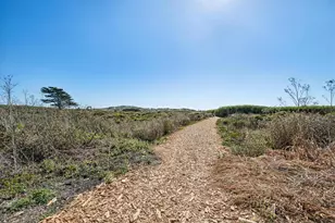 213 Roosevelt Blvd, Half Moon Bay, CA 94019 - Photo 32