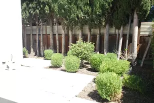 166 Michael Dr, Campbell, CA 95008 - Photo 20