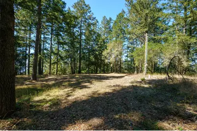 200 S Ranch Rd, Pescadero, CA 94060 - Photo 90