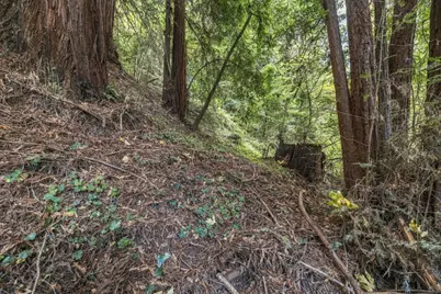 01 Pringle, Soquel, CA 95073 - Photo 10