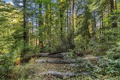01 Pringle, Soquel, CA 95073 - Photo 20