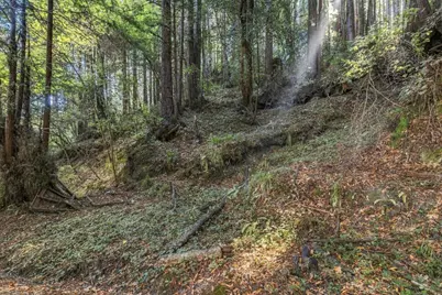 01 Pringle, Soquel, CA 95073 - Photo 1