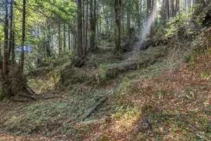 01 Pringle, Soquel, CA 95073 - Photo 1
