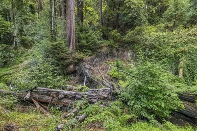 01 Pringle, Soquel, CA 95073 - Photo 14