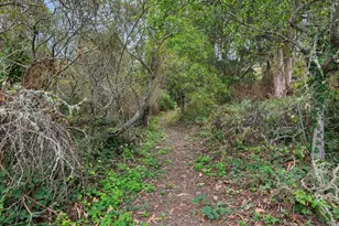 268 Berendos Ave, Pacifica, CA 94044 - Photo 50