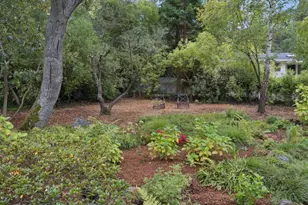 15 Mc Kenzie Ct, Hillsborough, CA 94010 - Photo 34