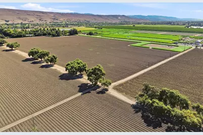 225 Laguna Ave, Morgan Hill, CA 95037 - Photo 12