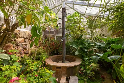 10170 Pescadero Creek Rd, Loma Mar, CA 94021 - Photo 20