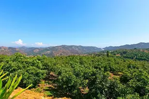 1629 Wild Acres Rd, Vista, CA 92084 - Photo 28