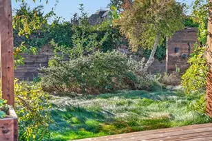 317 Lighthouse Ave, Santa Cruz, CA 95060 - Photo 54