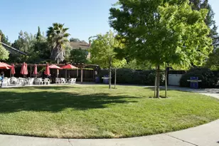 7075 Brooktree Way, San Jose, CA 95120 - Photo 66