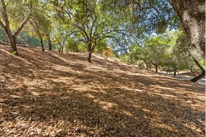 16099 Greenwood Rd, Monte Sereno, CA 95030 - Photo 1