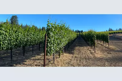 3980 Bonny Doon Rd, Santa Cruz, CA 95060 - Photo 20