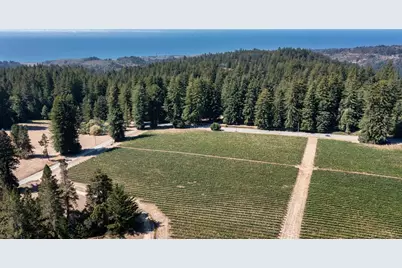 3980 Bonny Doon Rd, Santa Cruz, CA 95060 - Photo 4