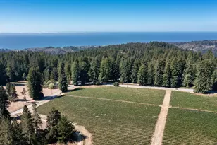3980 Bonny Doon Rd, Santa Cruz, CA 95060 - Photo 4