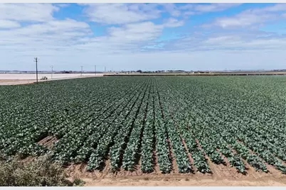 431 Espinosa Rd, Salinas, CA 93907 - Photo 14
