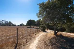708 Frederick St 309, Santa Cruz, CA 95062 - Photo 40