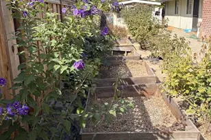 10534 Sterling Blvd, Cupertino, CA 95014 - Photo 16